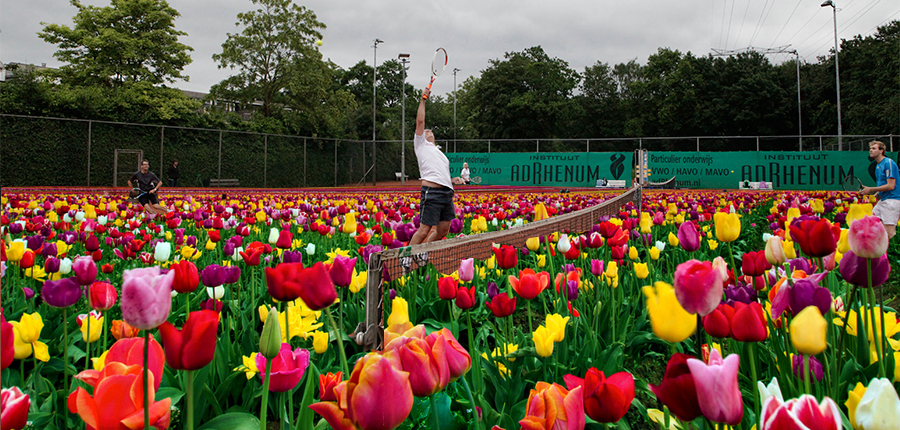 Tulpen baan