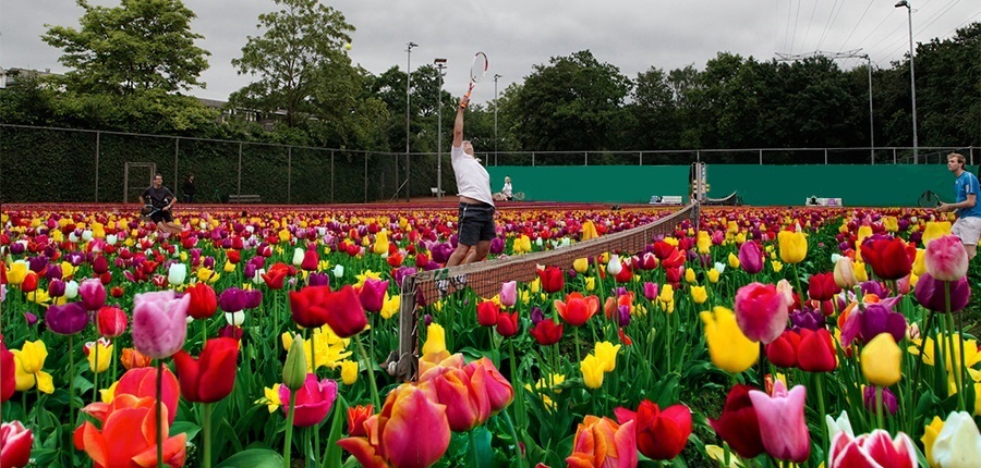 Tulpen-baan